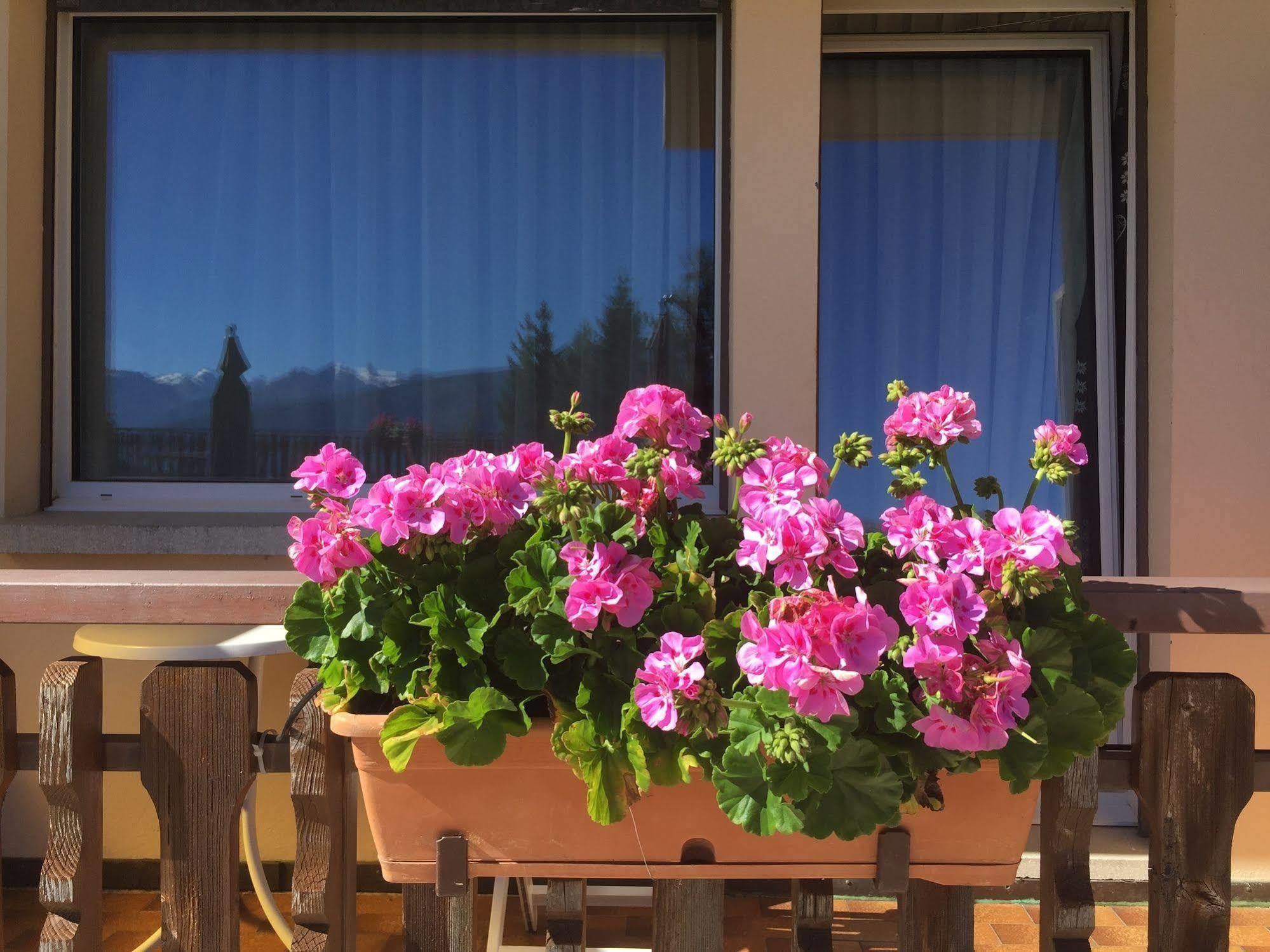 Hotel Ad'Eldorado Crans-Montana Esterno foto